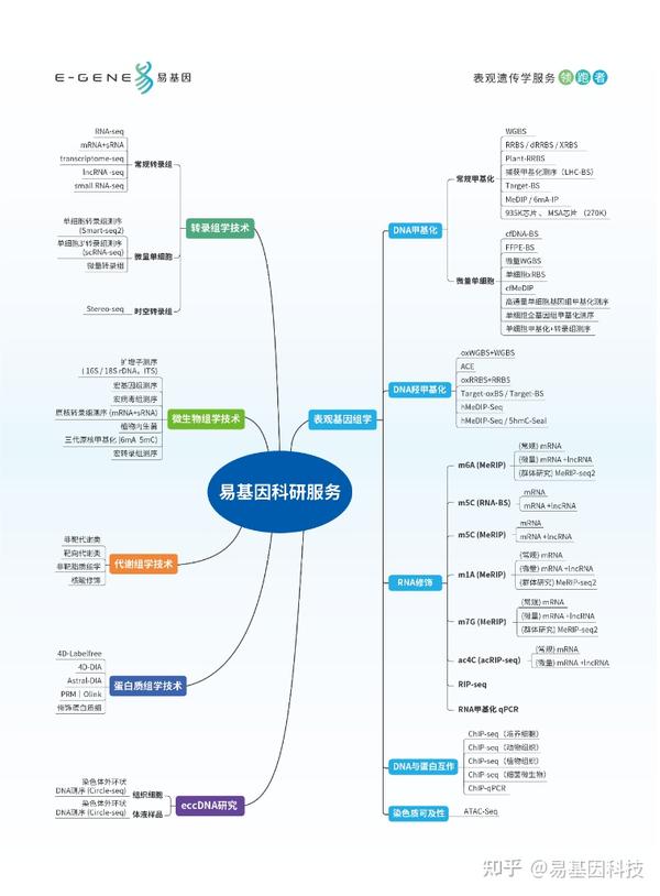 易基因：组学研究：MeRIP-seq等揭示m6A甲基化及调控因子在食管胃结合部腺癌（AEG）中的作用和调控机制