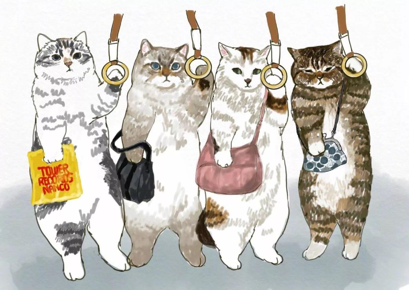 猫猫大集合-合集 - 优动漫-动漫创作支援平台 | Clip Studio Paint绘画软件