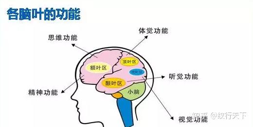 v2-53a6b9ebc7be86c1bfb505f2274cab3c_r.jpg