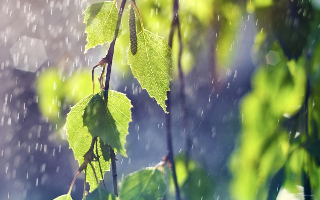 雨量从无雨、“零”雨到“霖”雨的汉字过程表述 - 知乎