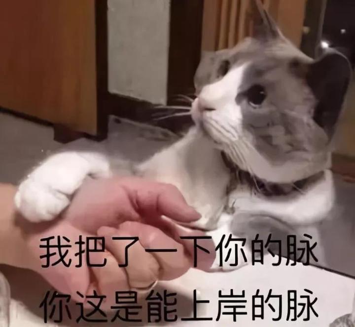 这就是你上岸之后的研究生生活!