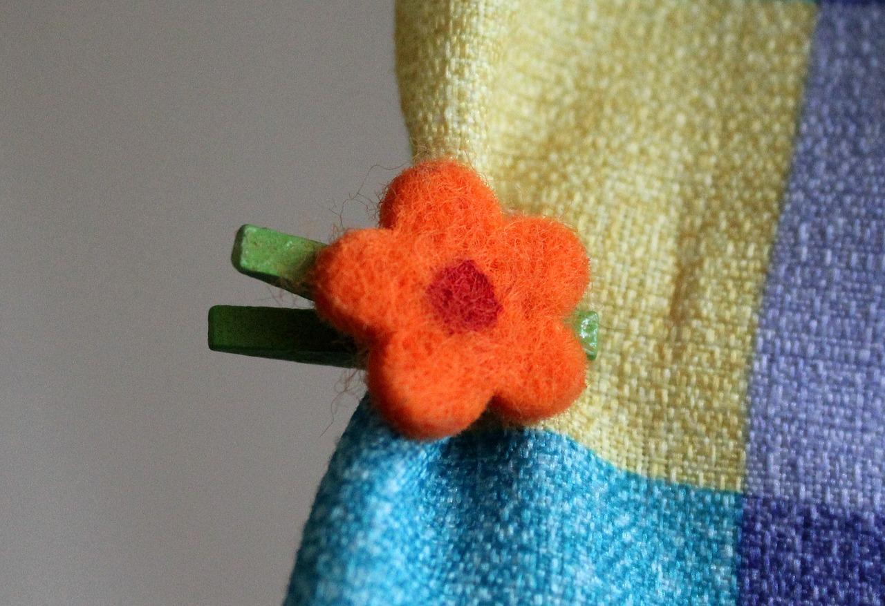 室内花卉养护要点