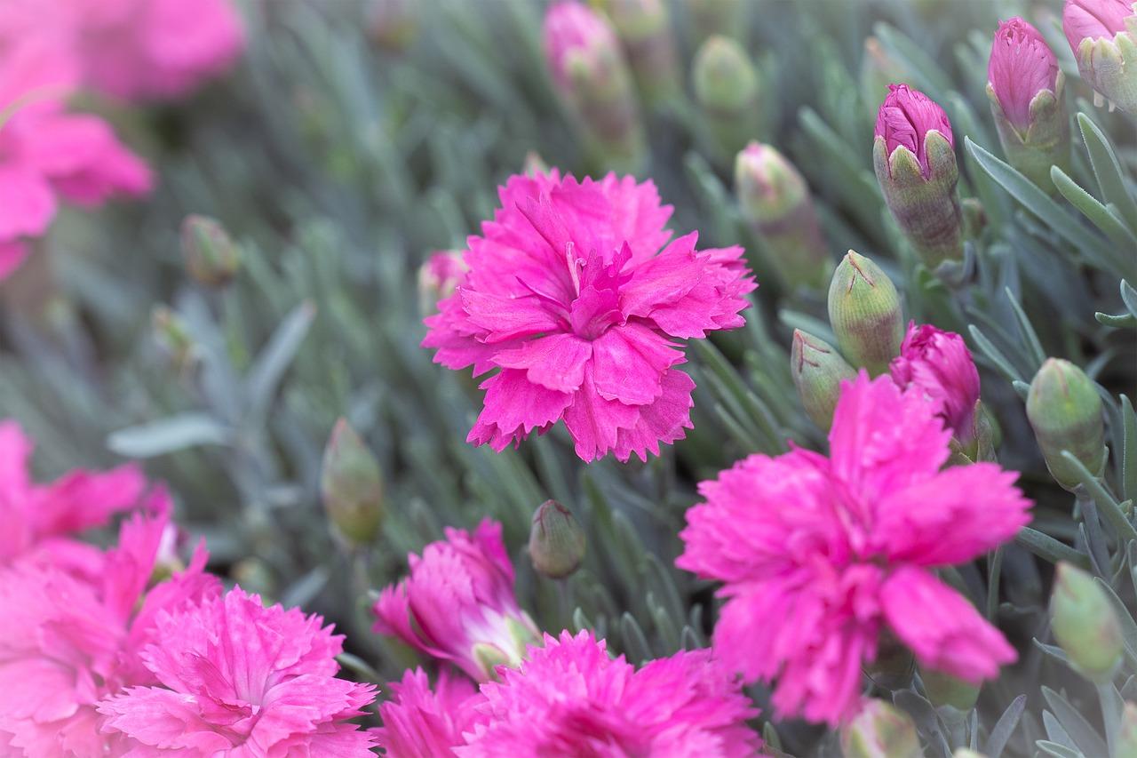 3. 取样方法说明