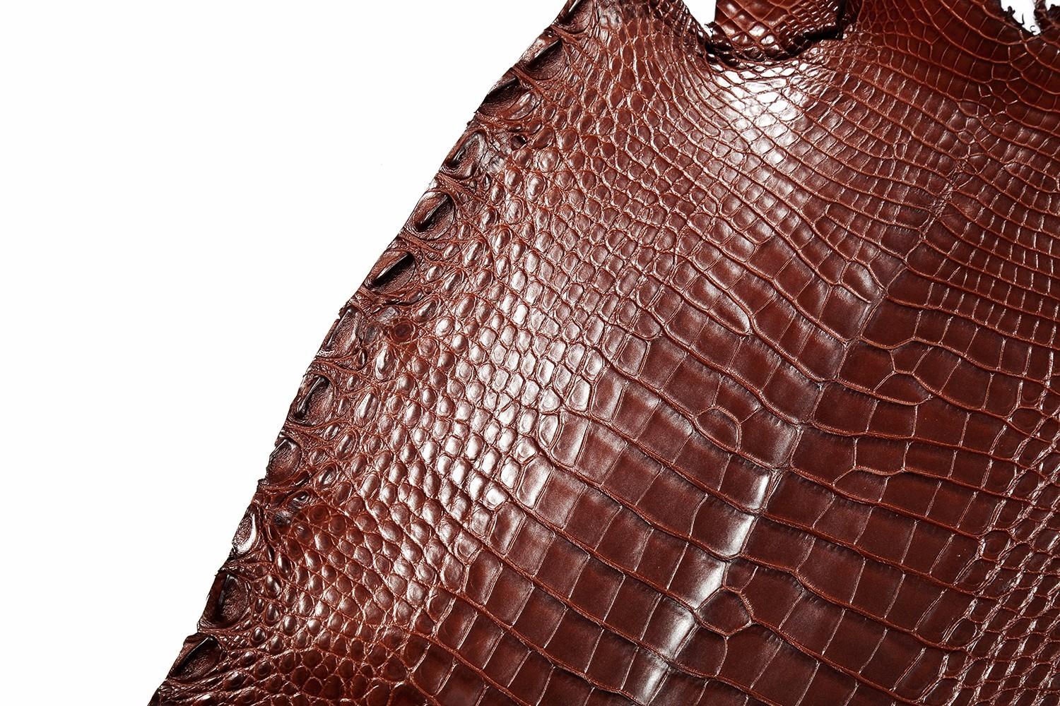 看着差不多却内有乾坤的鳄鱼皮品种你认识几种