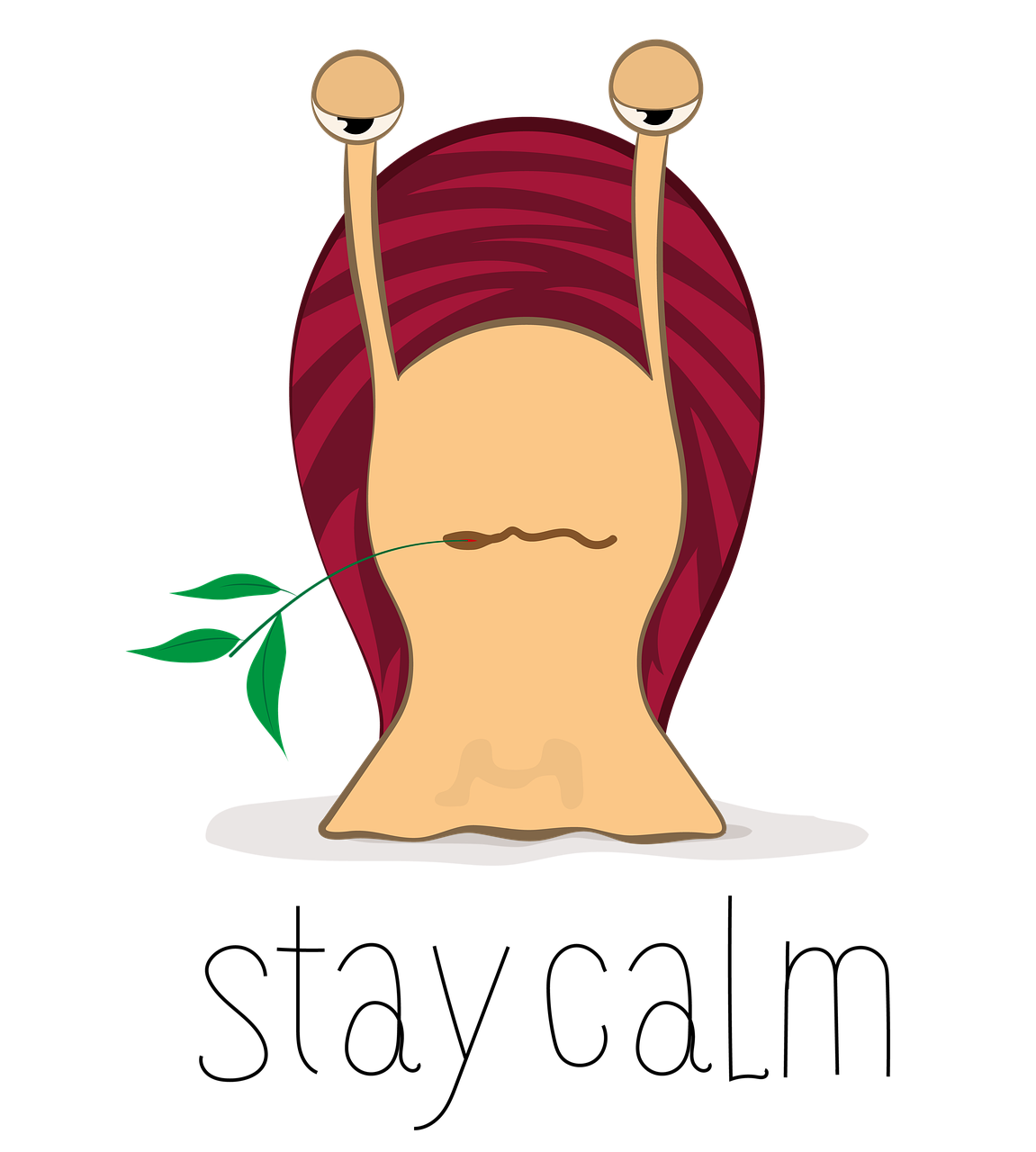 岁末回首，2020，我们砥砺前行