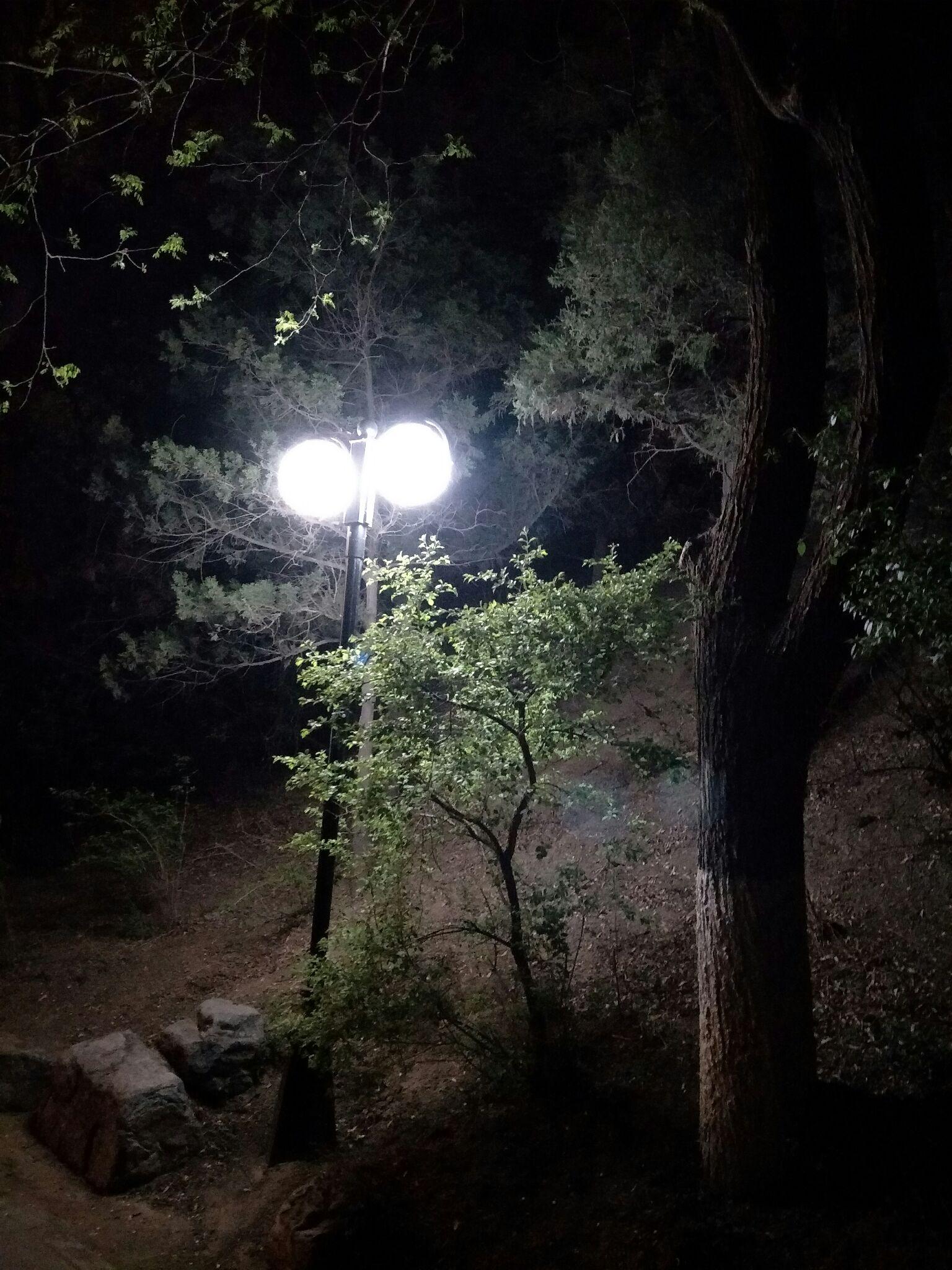 希望之塔 - 知乎