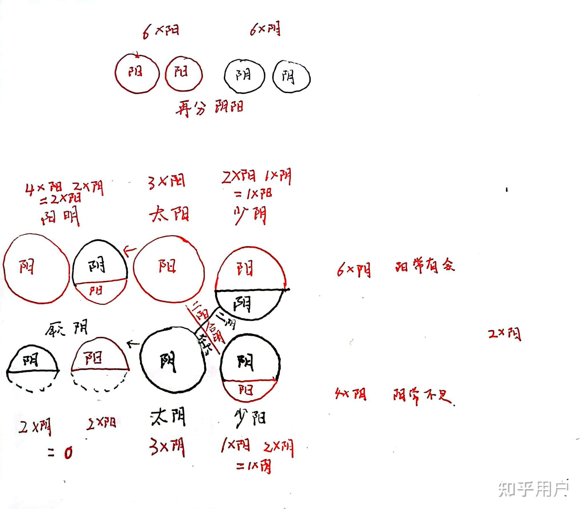 为什么肺是阳中之少阴? - 知乎