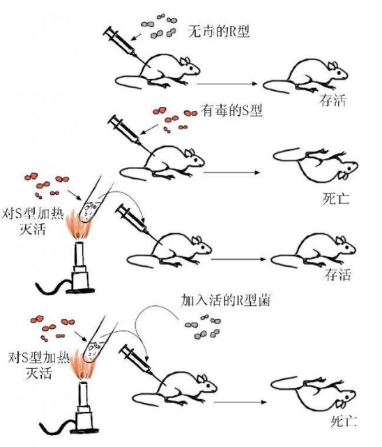 假如不终止米勒尤里实验无限期的维持实验设备的运作会诞生新的人造