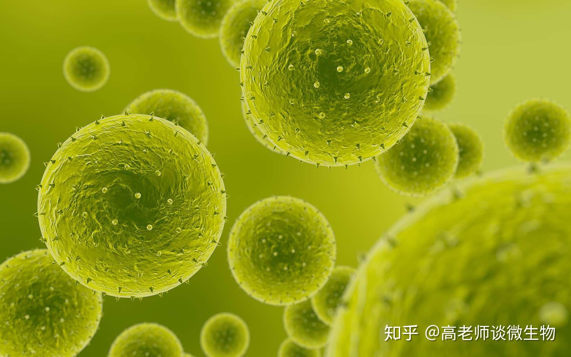 病原微生物和细菌什么关系，传播途径有哪些？ - 知乎