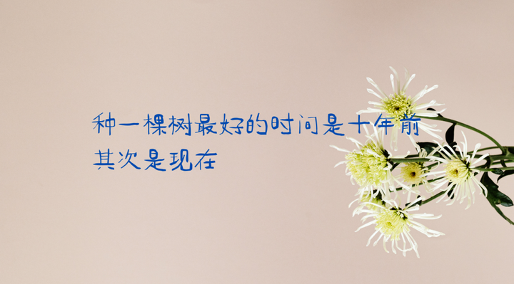 人生是一场自我雕琢的旅程 - 知乎