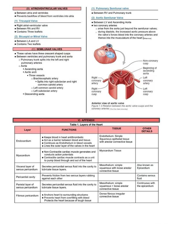 ninja-nerd-usmle-ninja-nerd-notes