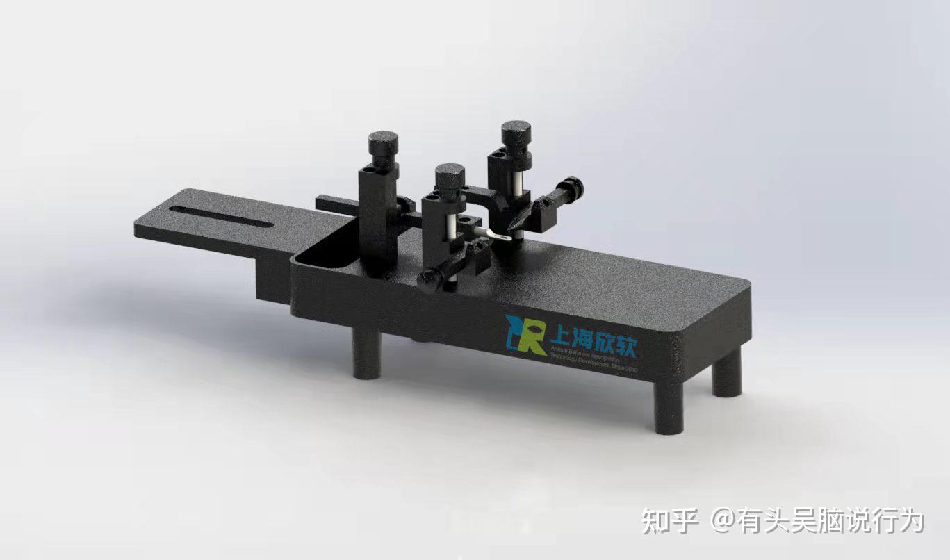 侧脑室埋管参考之前的报道.