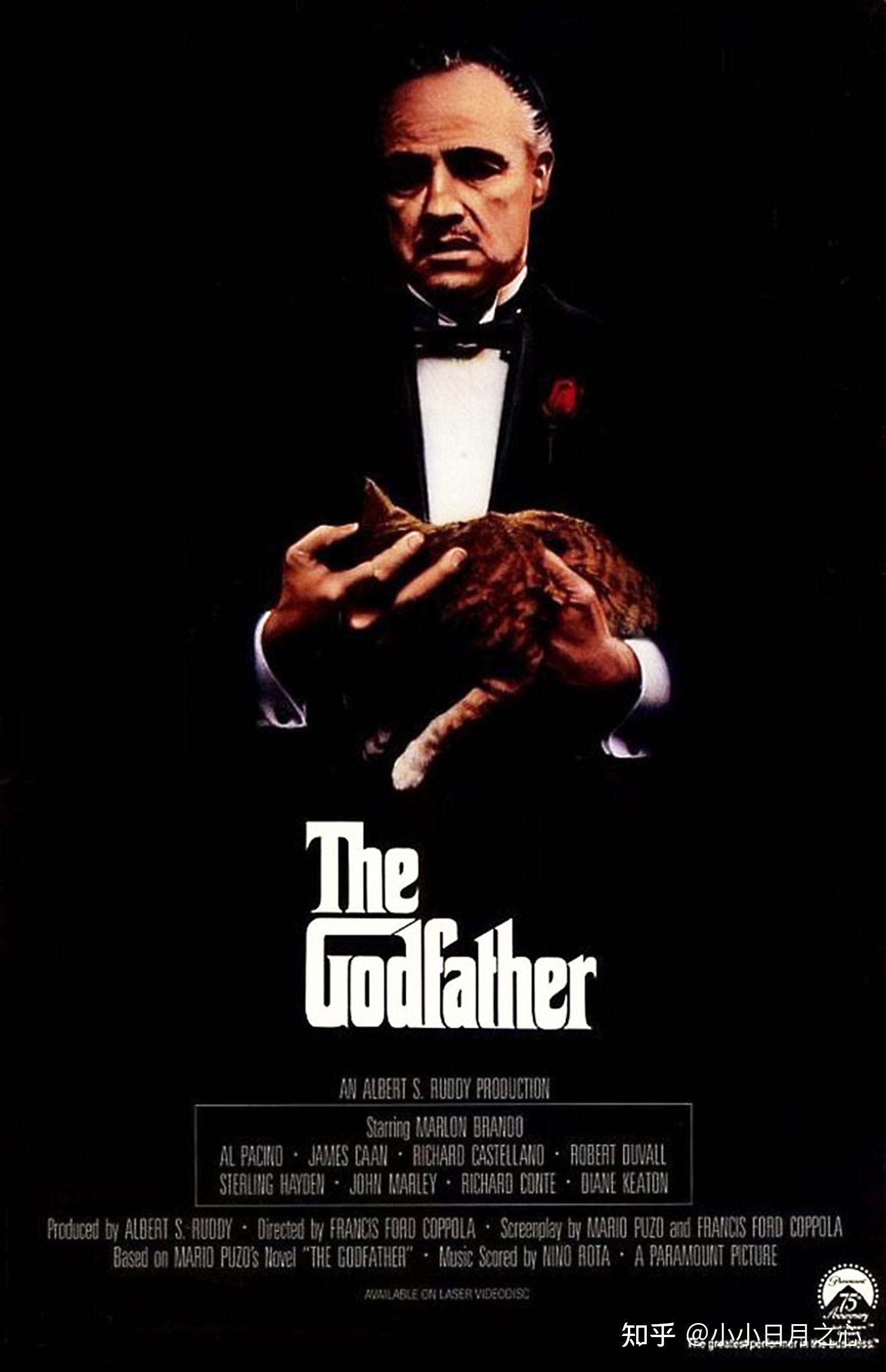 电影教父中有哪些易被忽略却令人深思的小细节