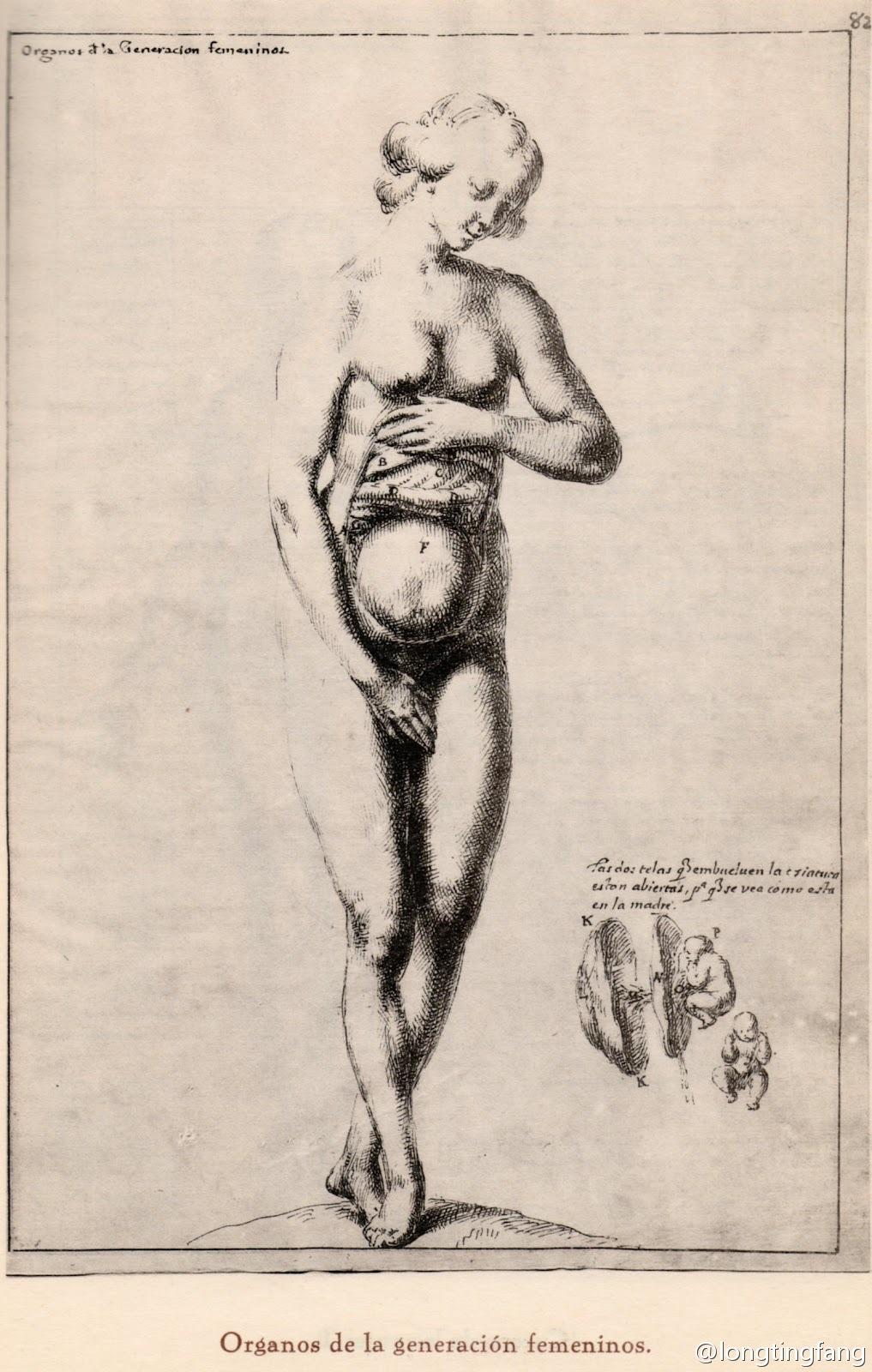 西方阴蒂史（上） - 知乎