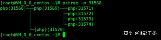 Thinkphp6+swoole 教程（四）配置、工作进程、协程以及理解 Swoole 进程模式 - 知乎