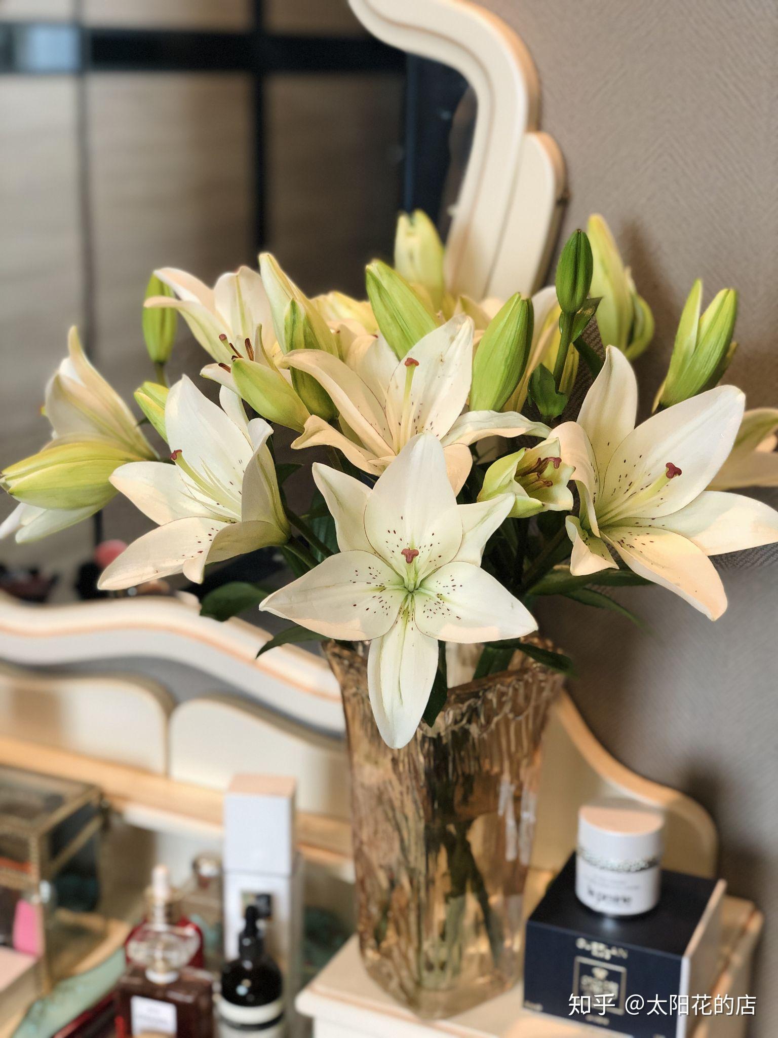 家里摆放鲜花费钱吗