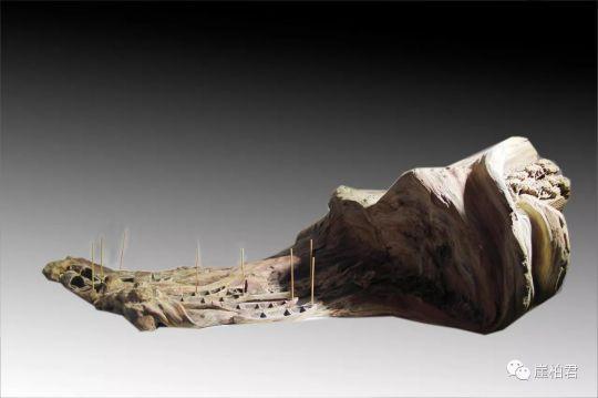 俞柏青:如何在崖柏上"写意"?