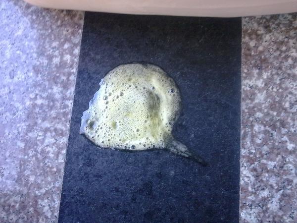 狗狗呕吐物的颜色代表了什么 知乎