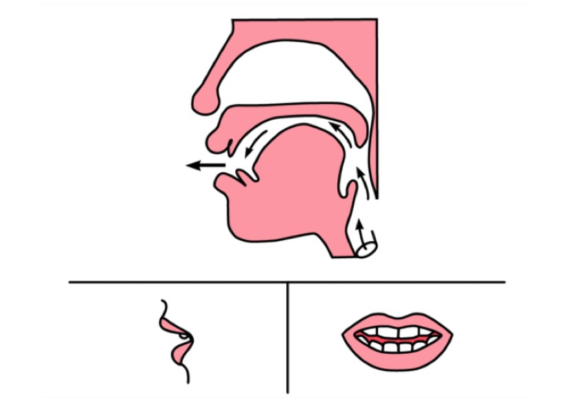 v2-5446e06759f9c30ff9fe3627a9260e4c_r.jpg