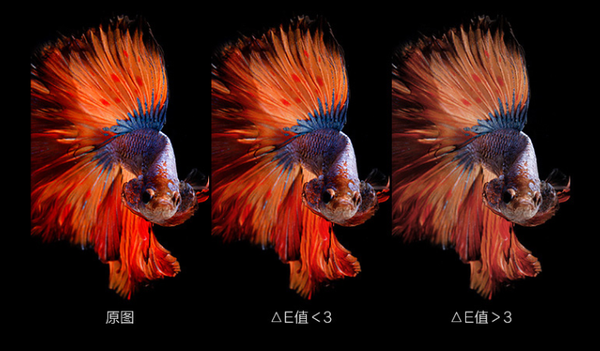 超小电脑显示器