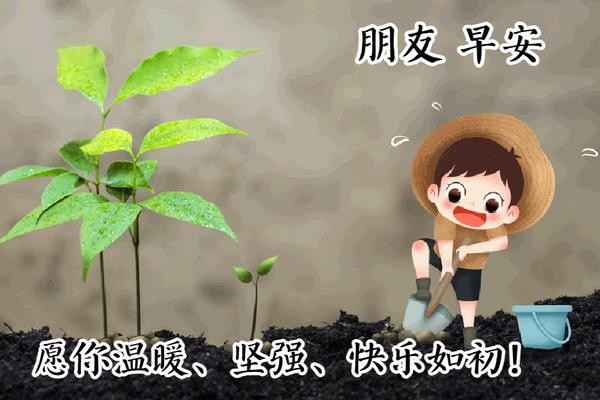 可爱的动态表情早安图片清晨句句温暖人心的早安祝福句子