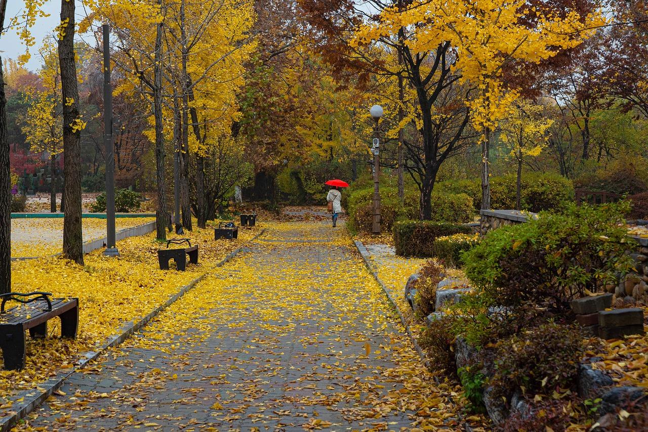 4. 学区房价格走势