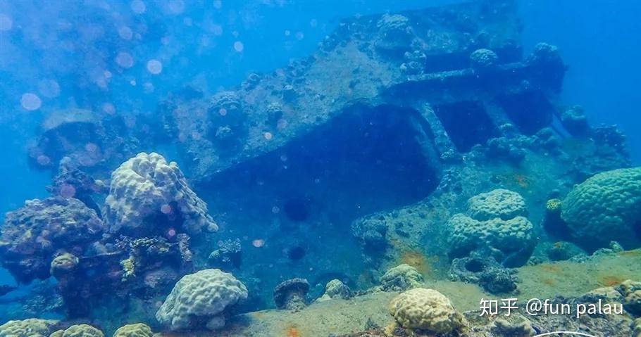 第二次世界大战意外的主战场遗迹