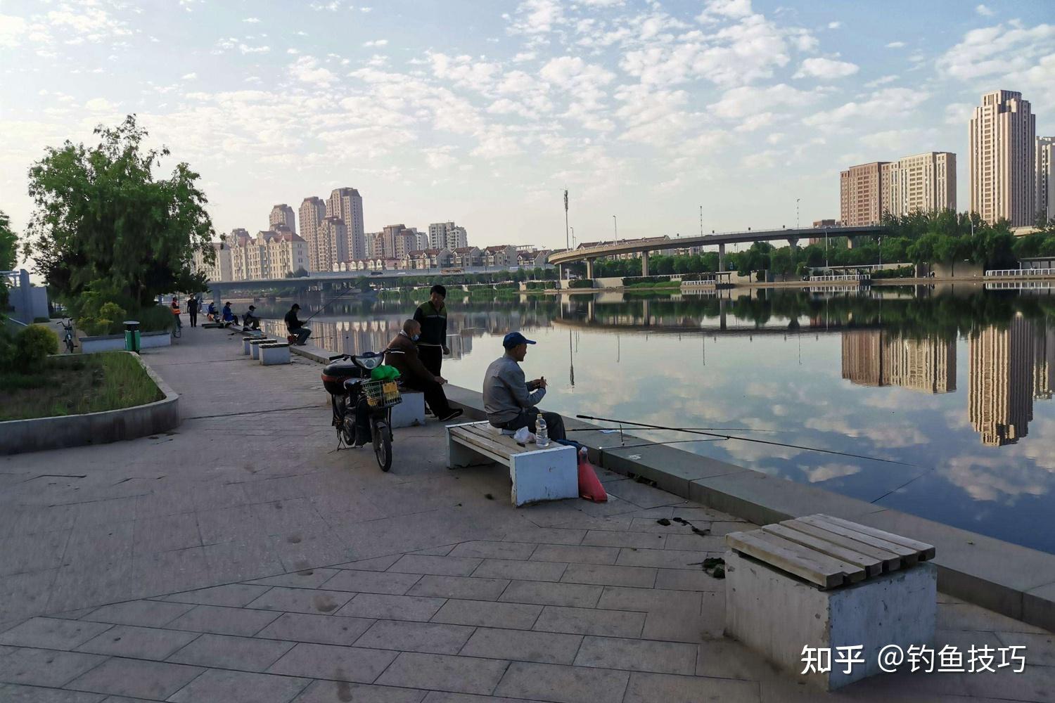 魚口一般都很好,覓食地點一般是淺水區和深淺交界處