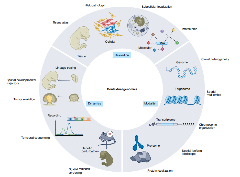 Nat Biotechnol | 空间转录组技术及其发展方向 - 知乎