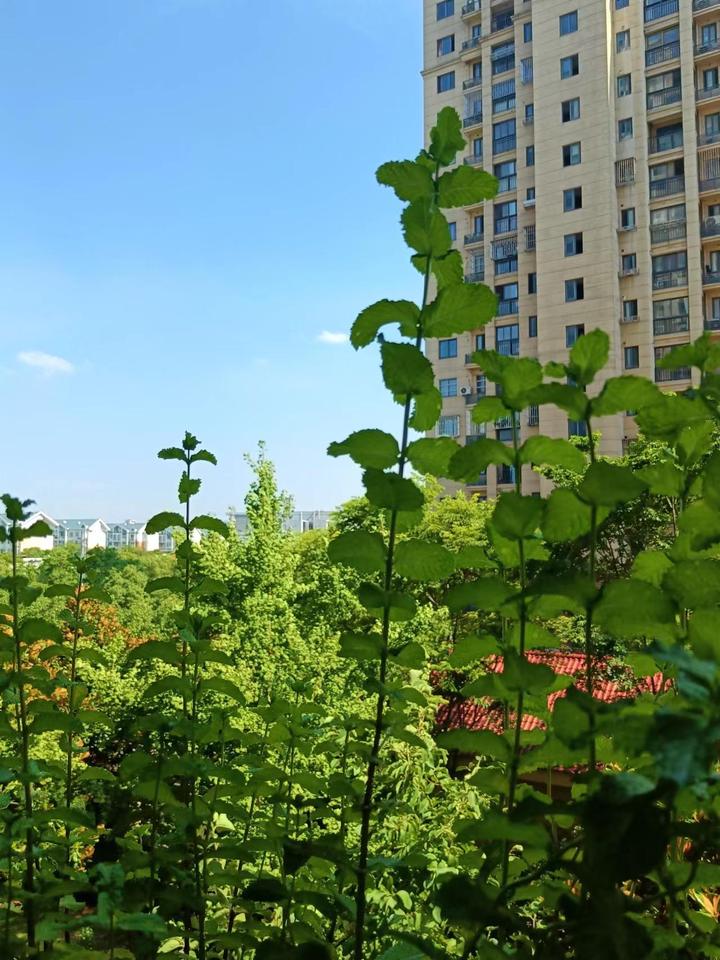 When I was young 知乎