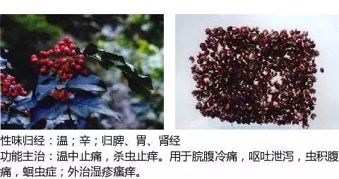 500余种中草药图  第192张