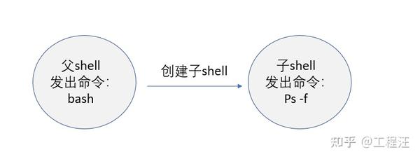 Linux Cli与shell脚本六 理解shell的父 子关系 知乎