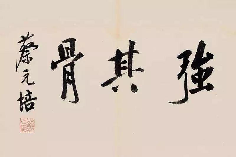 白岩松体育凭什么排在四育之首