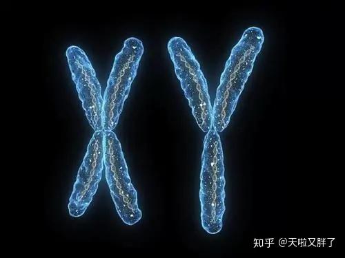 知乎专栏