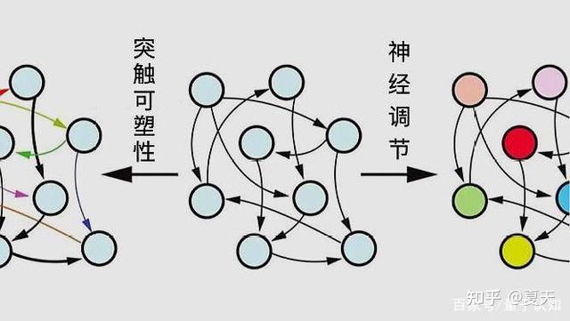 一文读懂启发式算法:从原理到应用,开启智能优化之旅 - 知乎