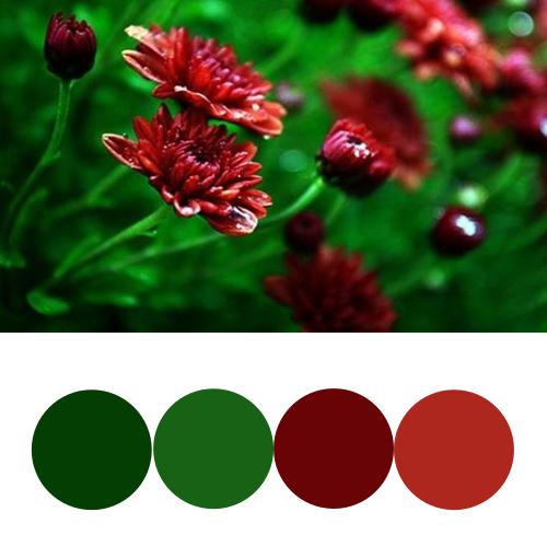 三,互补色配色法