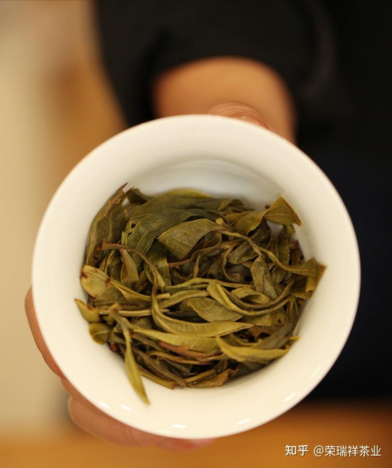 普洱茶里的夏茶真的一无是处吗你看不上的夏茶还有这3大用处