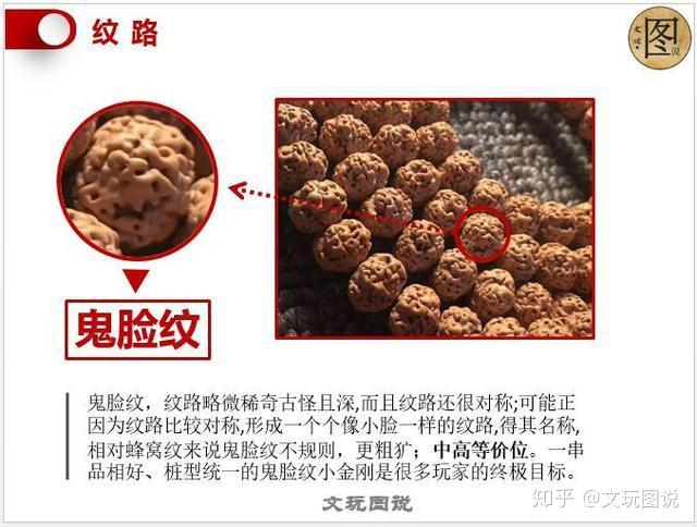 图说丨金刚菩提金刚知识大全看图就懂