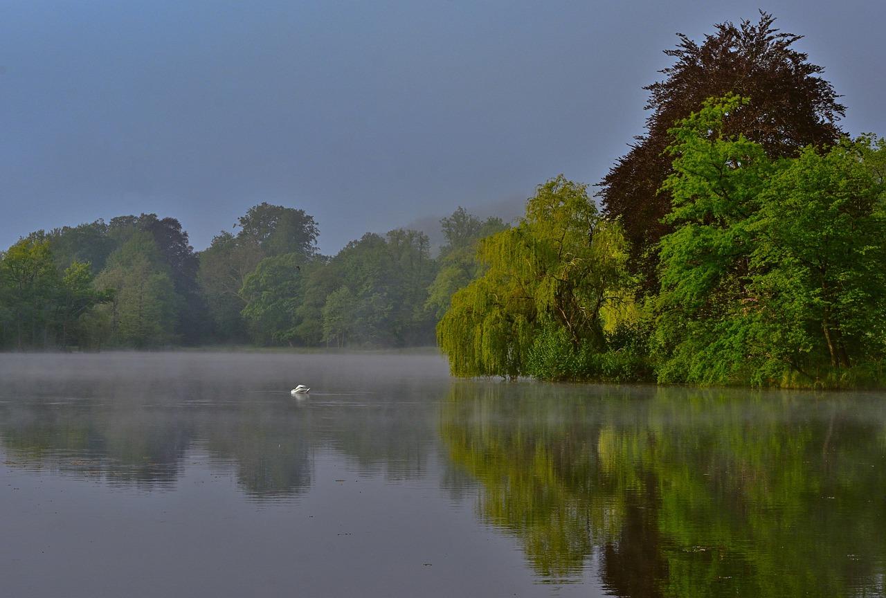 4. 紫金山公园周边