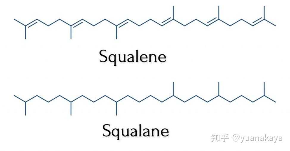 不会真的有人还不知道角鲨烷吧