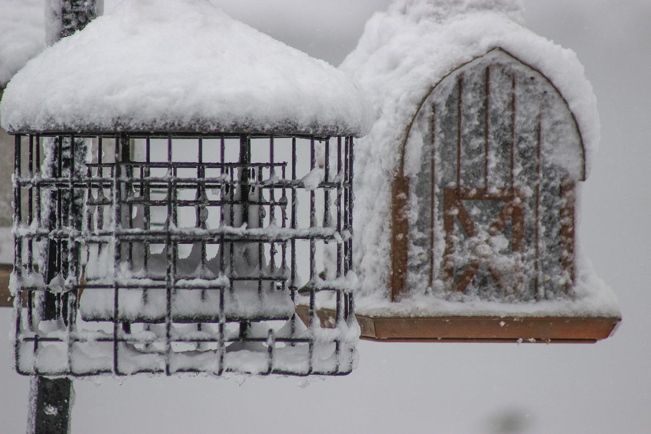 猪舍每平米价格