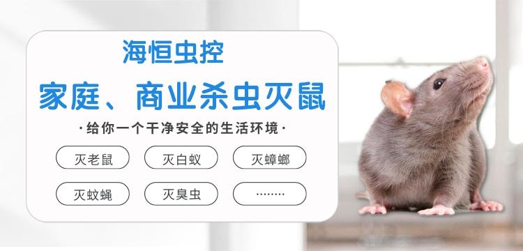 v2-54b1b825a1ccb9f5406c4d2a6e640e1d_1440w.jpg?source=172ae18b