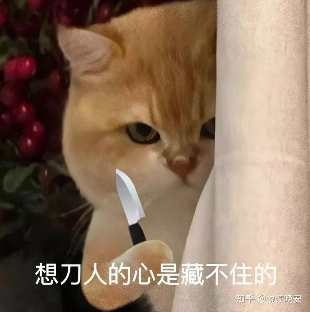 骂骂咧咧323032333635怼人表情包 676767