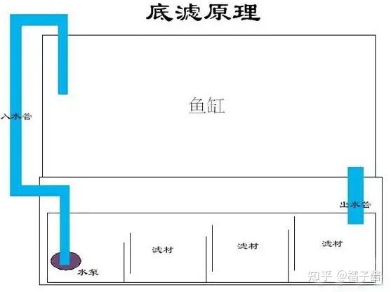 亚克力鱼缸材质_鱼缸挑选尺寸_鱼缸冲浪泵会影响鱼吗
