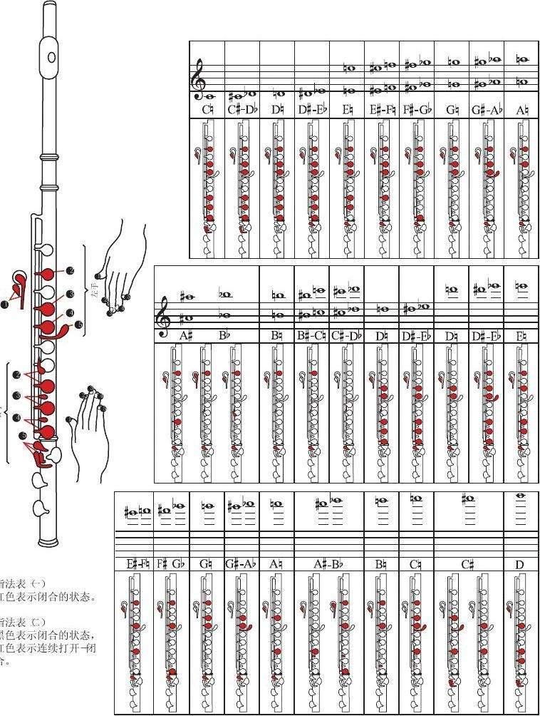 长笛升fa图片