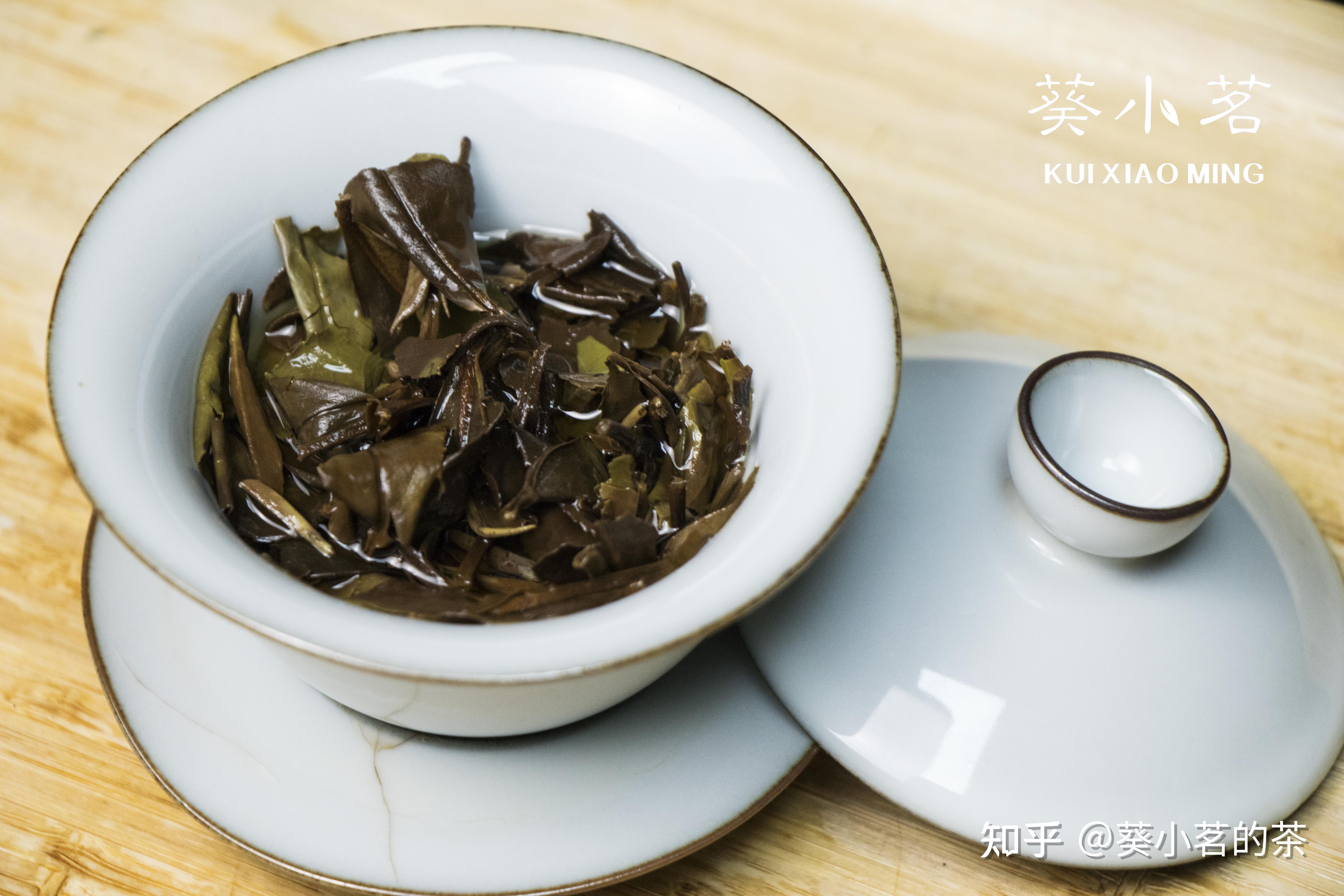 冲泡白茶前这四点一定要知道