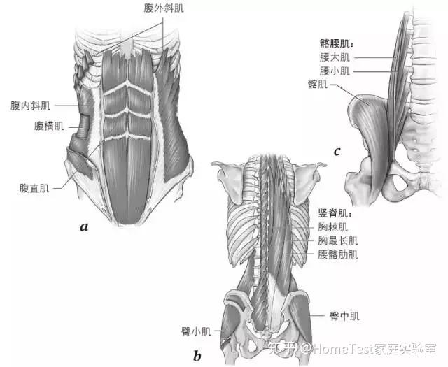 v2-54d5f53549b03d71dab4a8ec0e4b5c14_r.jpg