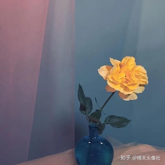 你见过哪些温柔的朋友圈背景图