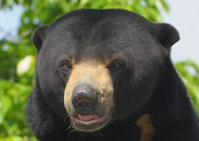 史上最好的沙巴小众旅行攻略，没有之一。