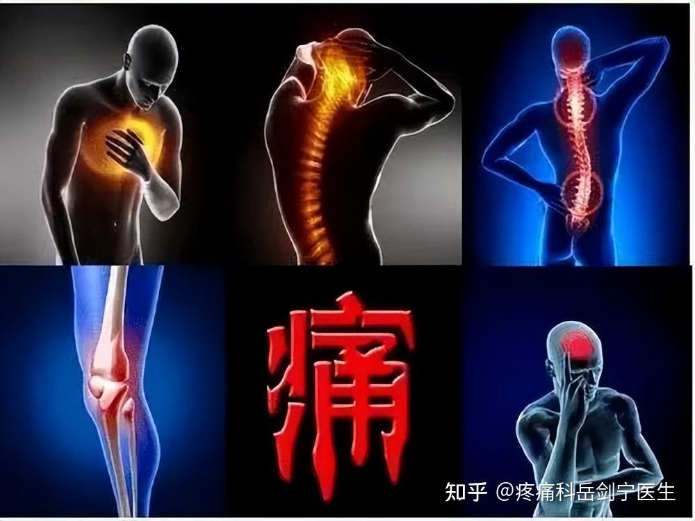 神经阻滞疗法——疼痛患者福音! 知乎